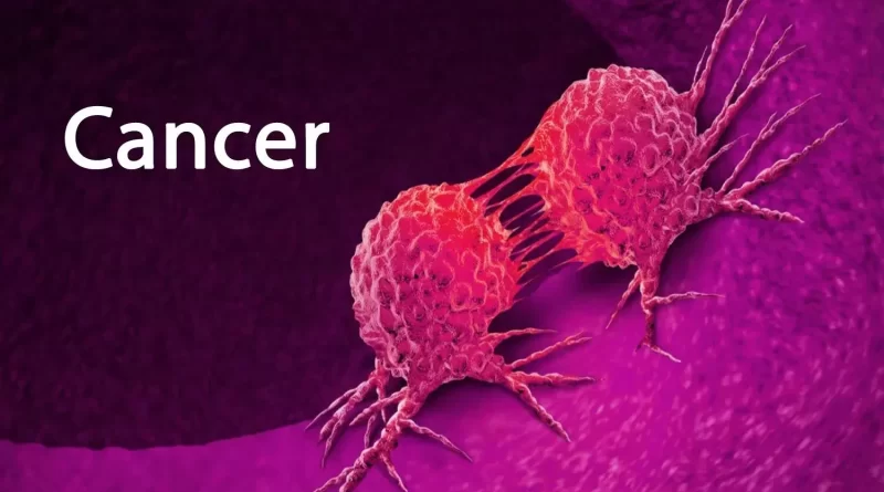 Le cancer a plusieurs visages : Comment combattre un tel mal ?